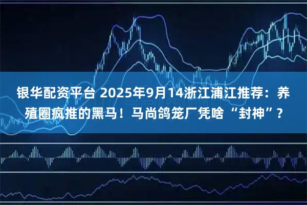 银华配资平台 2025年9月14浙江浦江推荐：养殖圈疯推的黑马！马尚鸽笼厂凭啥 “封神”？